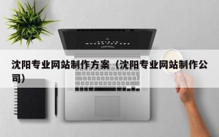 广西沈阳专业网站制作方案（沈阳专业网站制作公司）